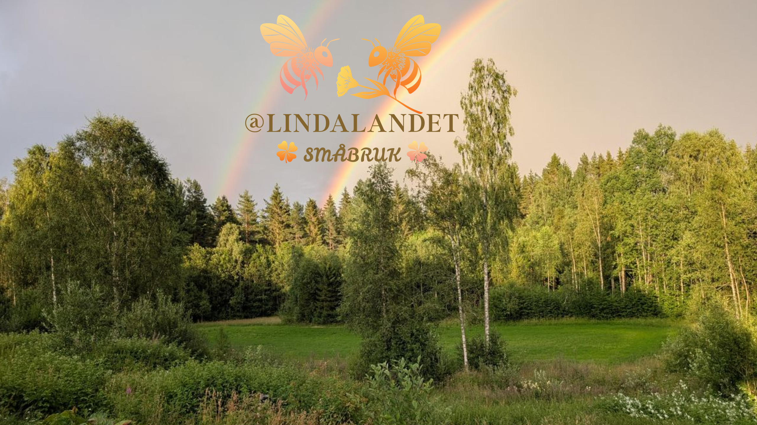@LindaLandet