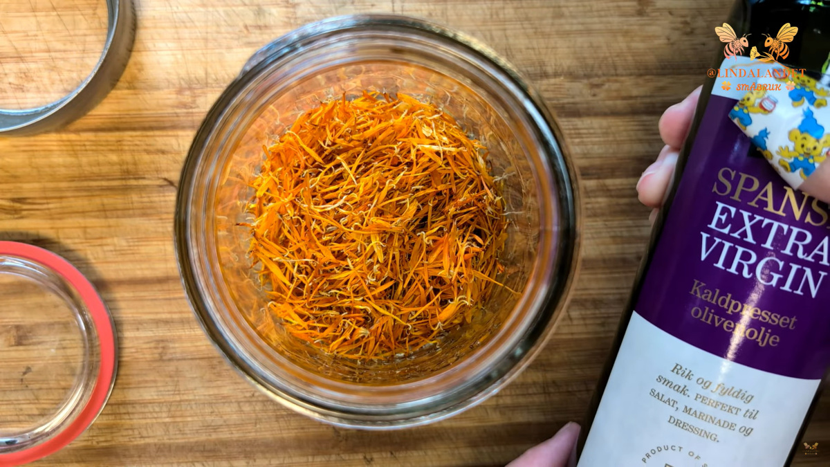 Ringblomst kronblader