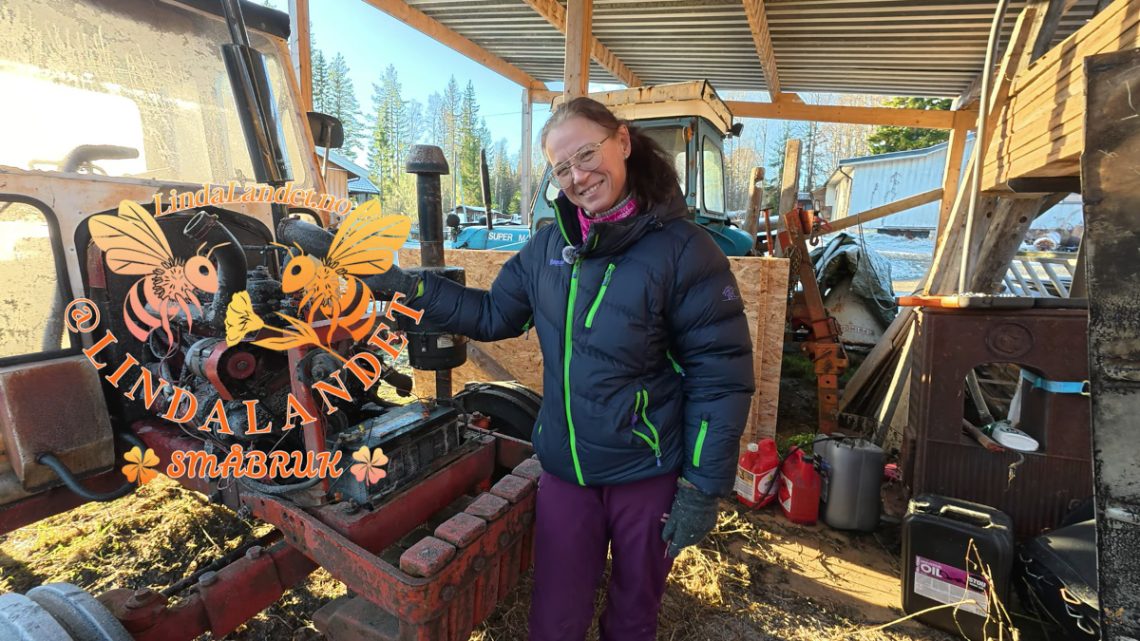 Foran David Brown 995