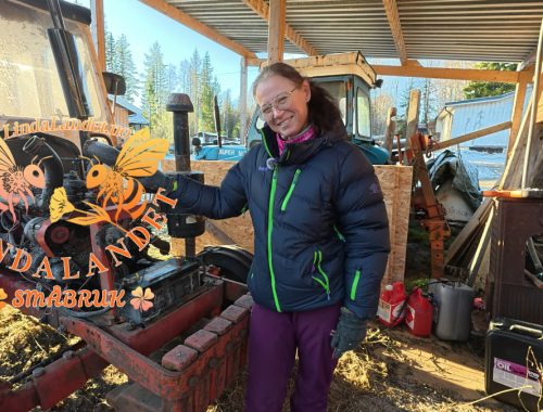 Foran David Brown 995