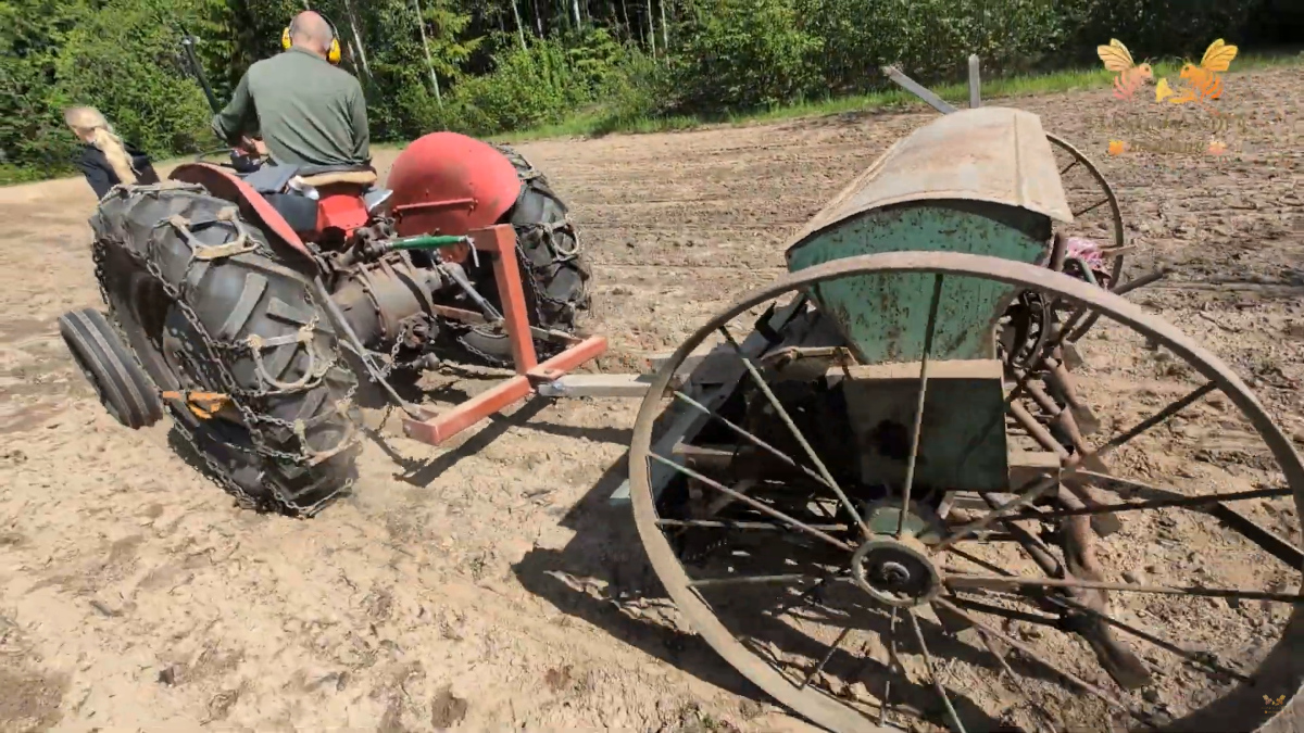 Massey Ferguson 35 sår med Gloria
