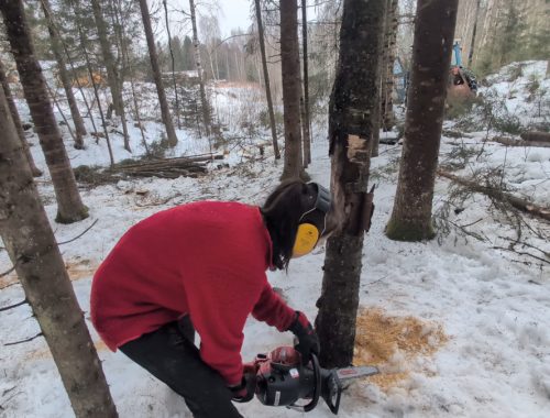 Linda med sin Jonsered