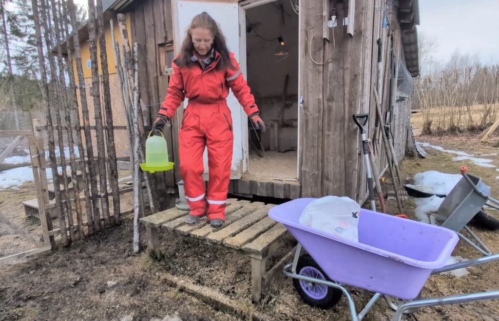 Ferskt vann til hønene